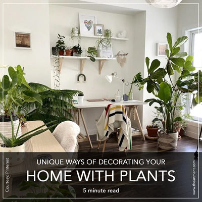8 Unique Ways To Include Plants In Your Home Decor