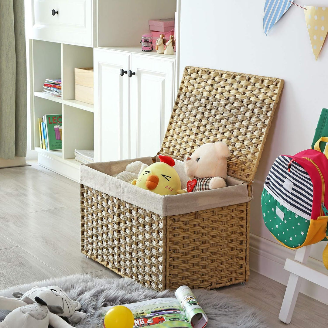 Canopy Laundry Box