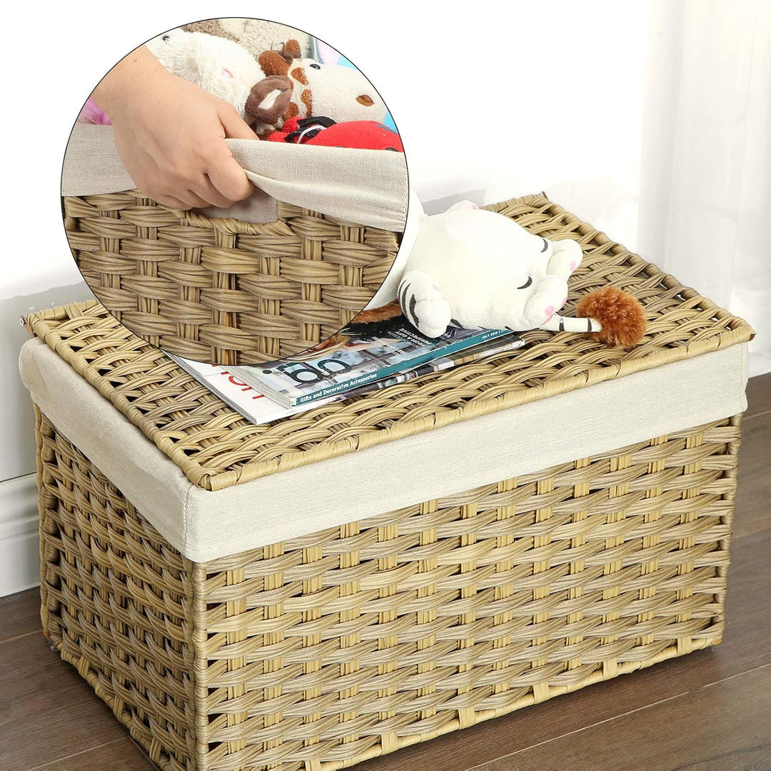 Canopy Laundry Box