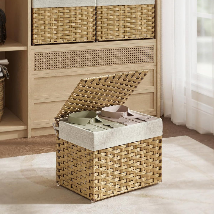 Canopy Laundry Box