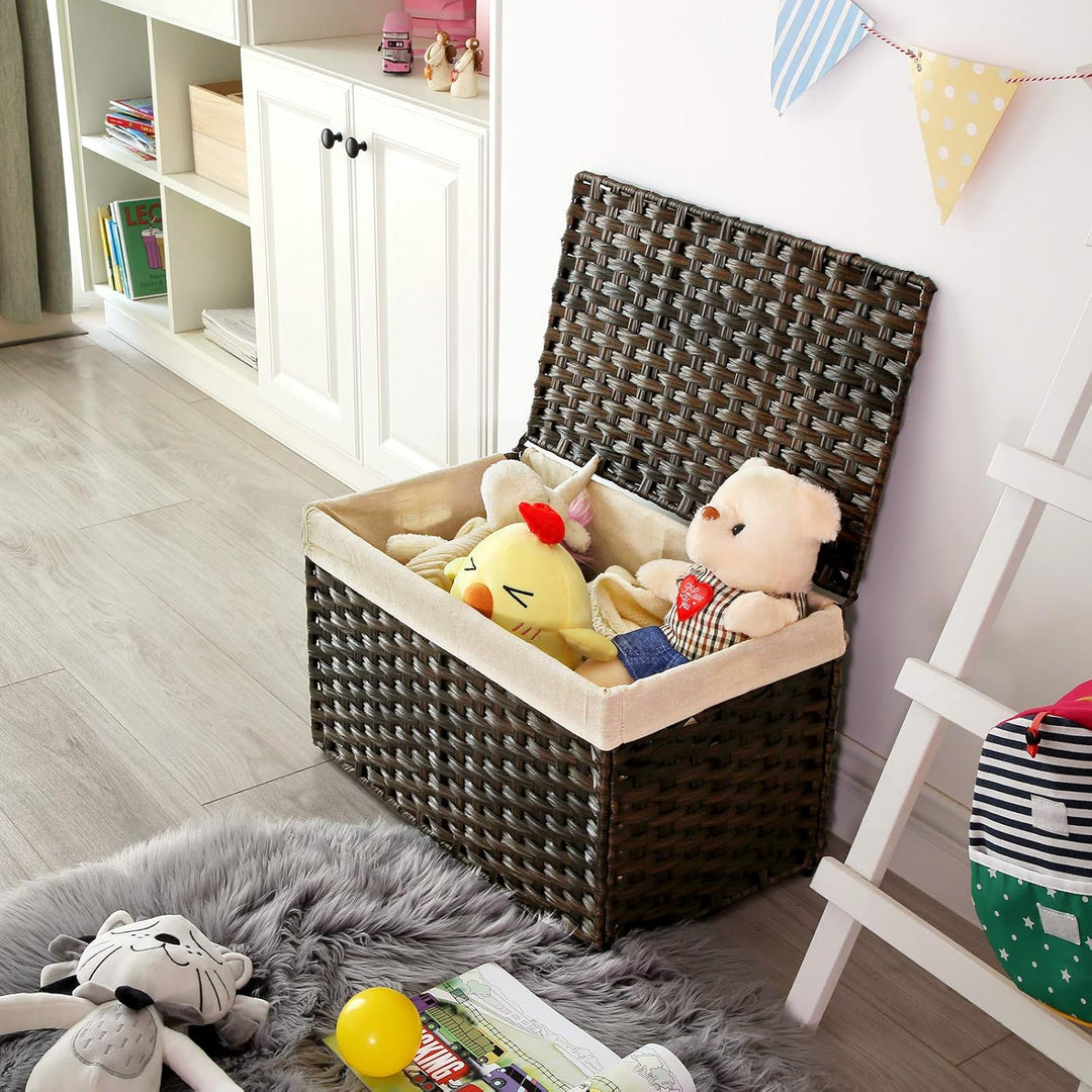 Canopy Laundry Box