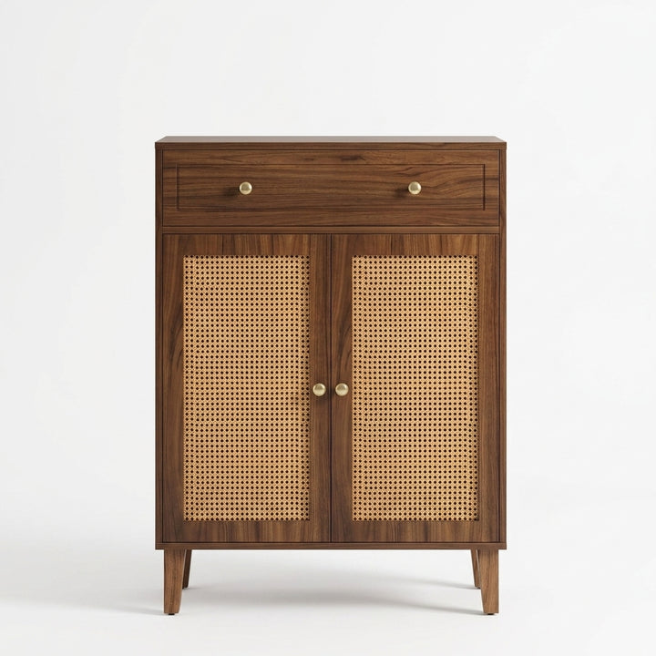 Mesh Shoe Cabinet