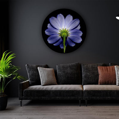 Aster in the Bright Light Canvas (Matte Finish) - The Artment