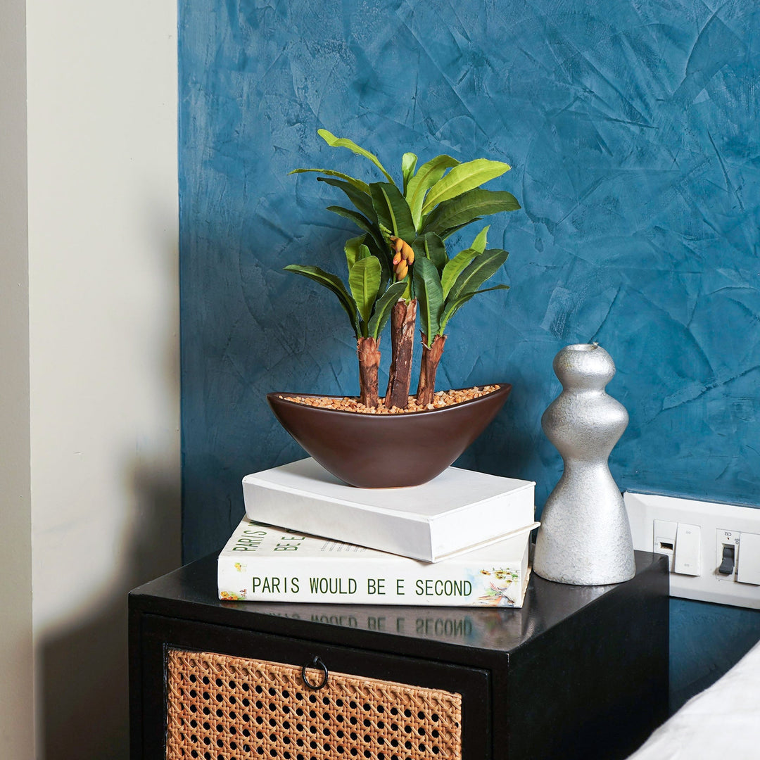 banana bonsai tree for sale Maple bonsai – The Artment
