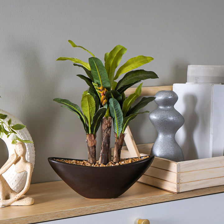 bonsai banana tree for sale Maple bonsai – The Artment