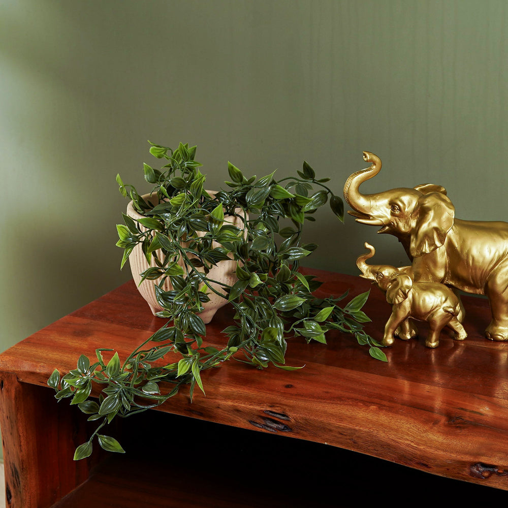 EverVine - The Artment