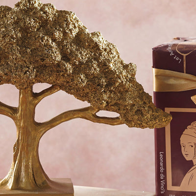 Feng Shui Bonsai Brilliance Gift Box - The Artment