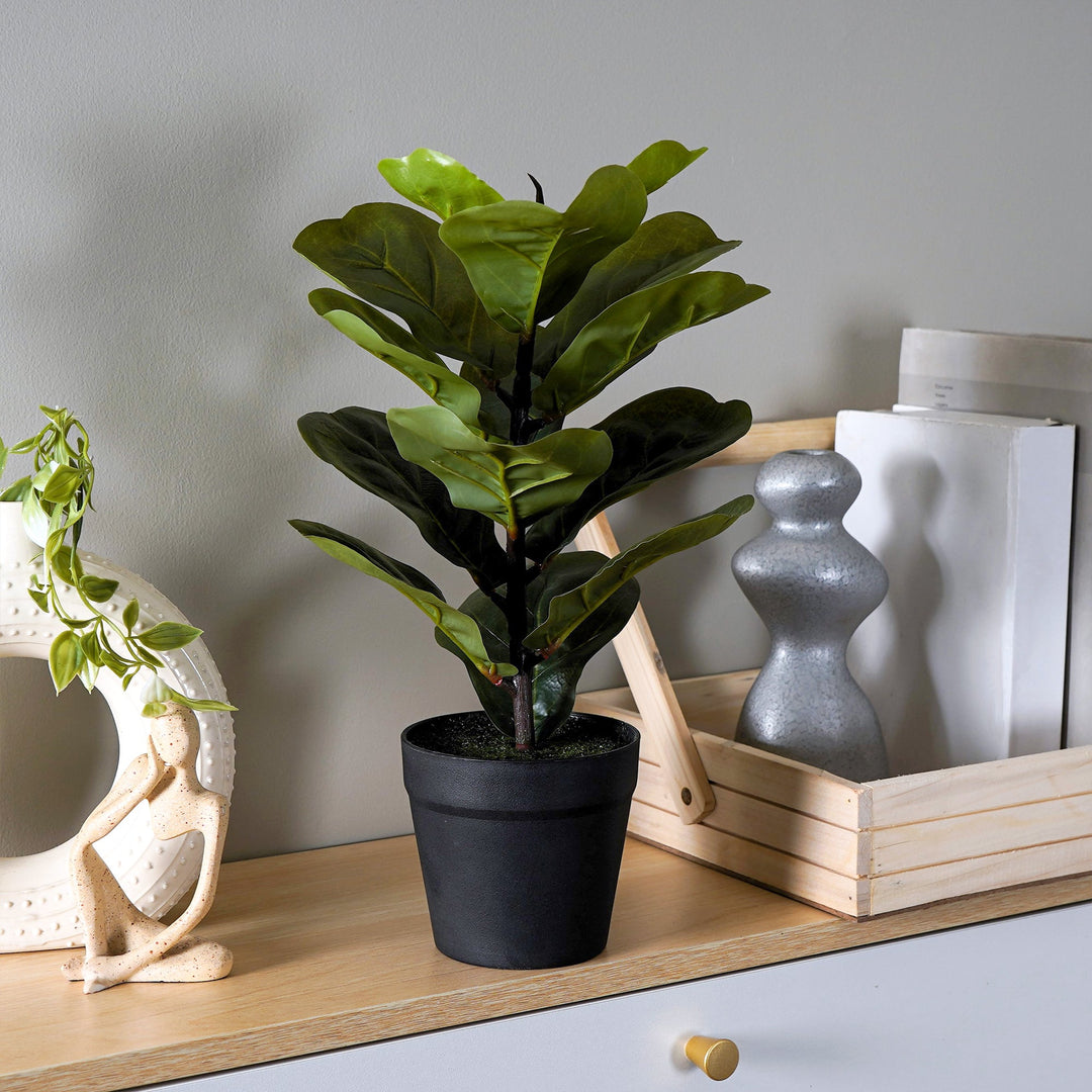 fiddle leaf fig office FiddleLeaf – The Artment
