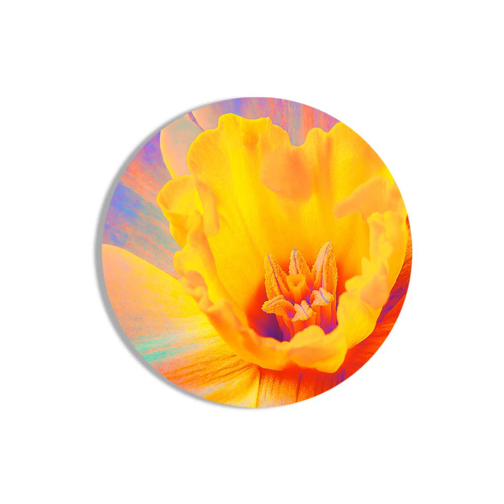 Flamboyant Flowers Canvas (Matte Finish) - The Artment