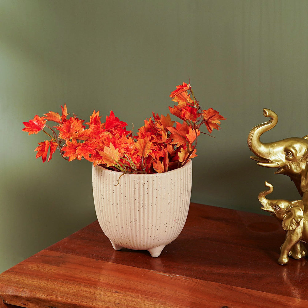 German Maple - The Artment