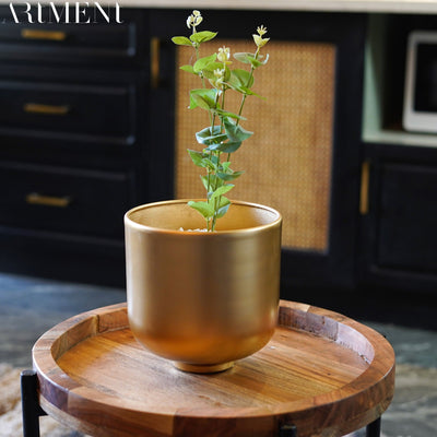 Golden Oasis Planter - The Artment