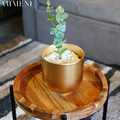 Golden Oasis Planter - The Artment