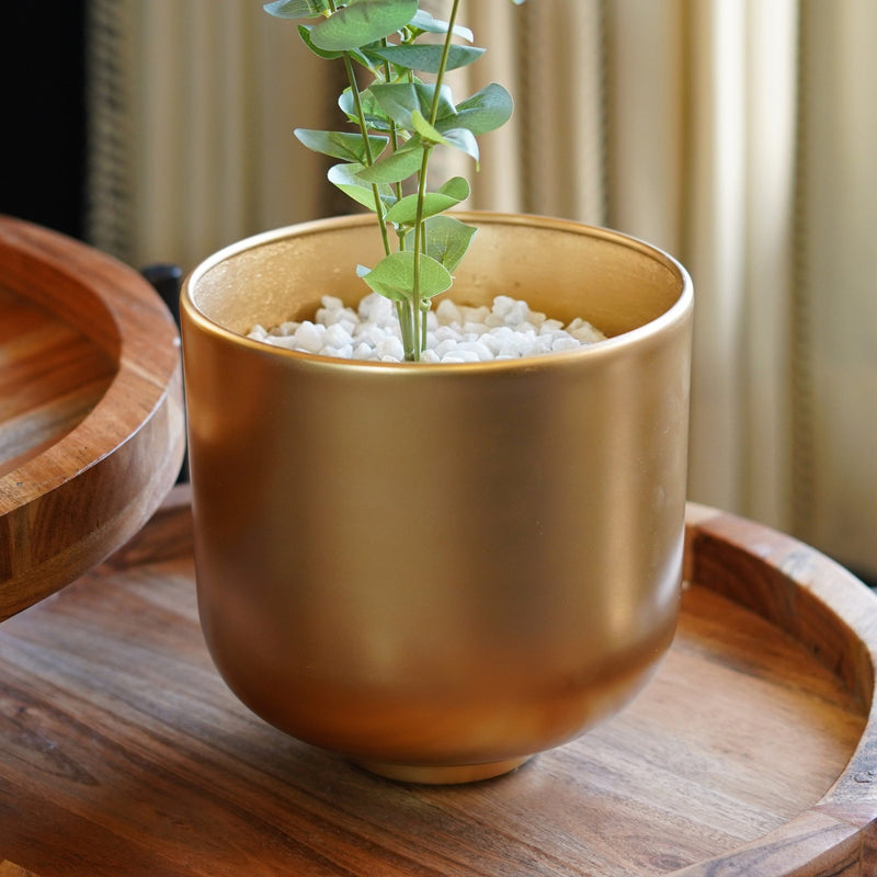 Golden Oasis Planter - The Artment