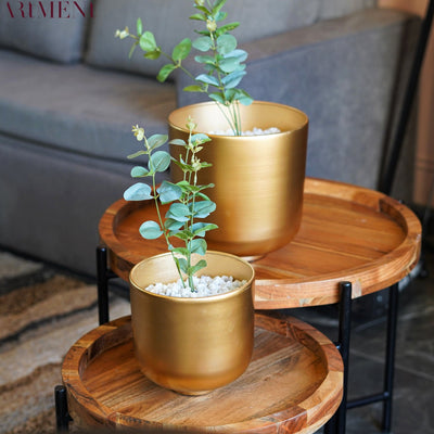 Golden Oasis Planter - The Artment