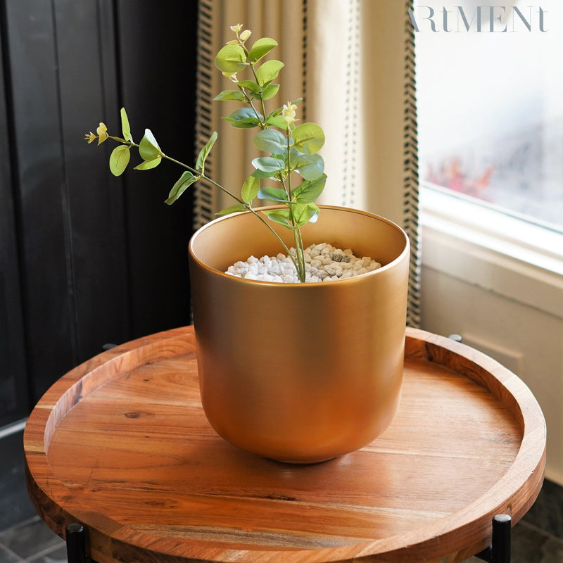 Golden Oasis Planter - The Artment