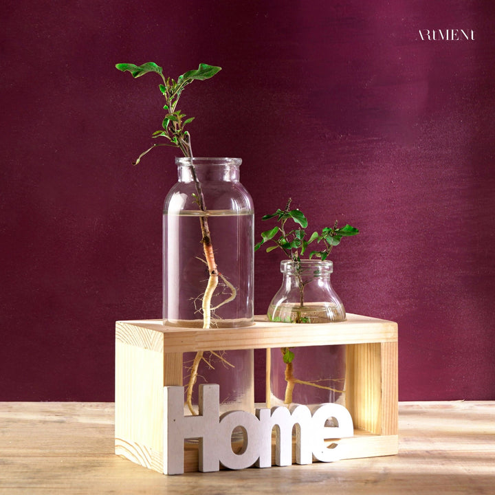 Home Glass Tube Vase Set - The Artment