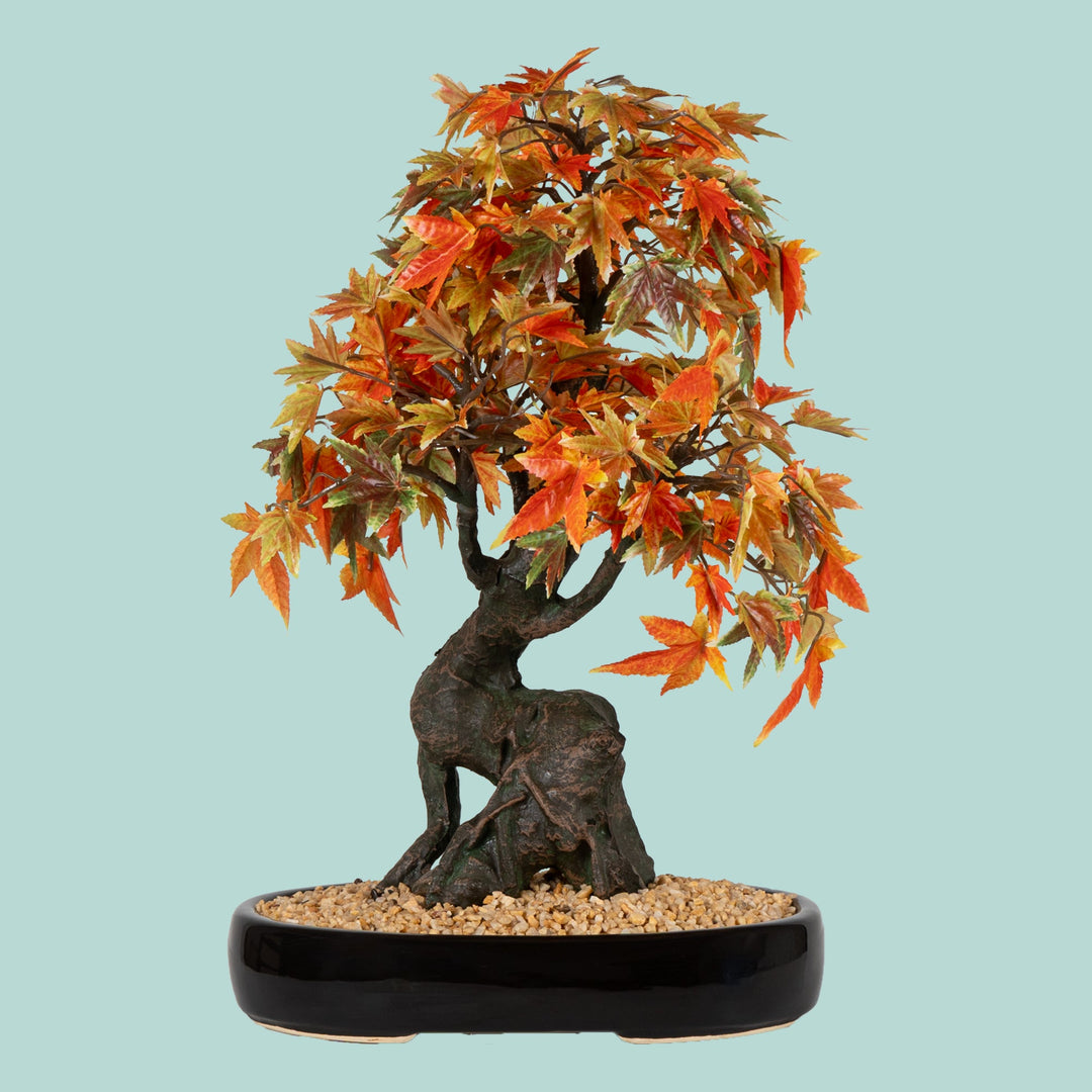 artificial maple bonsai tree Japanese Maple Bonsai Plant – The Artment