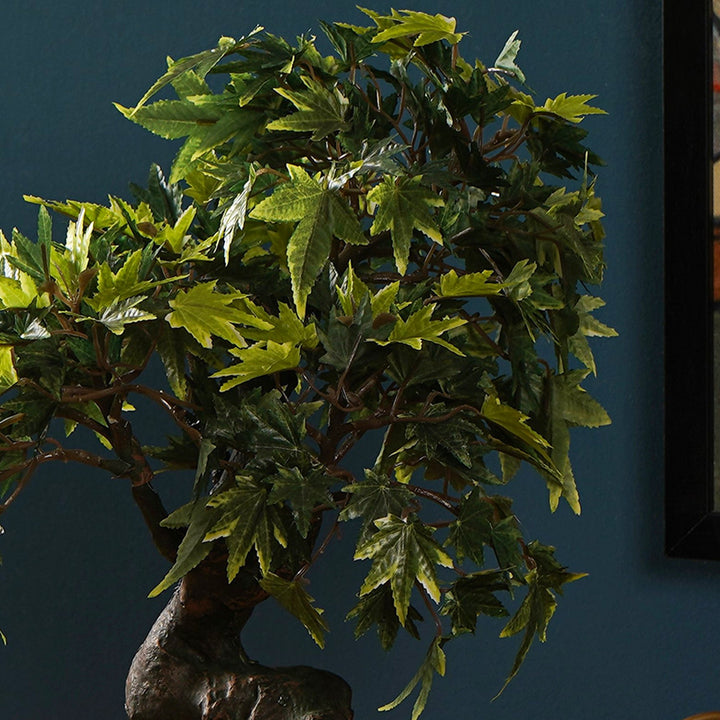 artificial maple bonsai tree Japanese Maple Bonsai Plant – The Artment