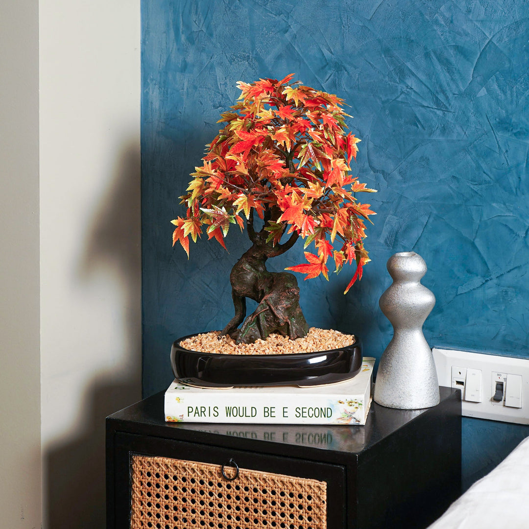 fake japanese bonsai tree Japanese Maple Bonsai Plant – The Artment