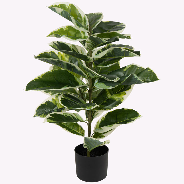 faux potted rubber tree Verdora Rubber plant – The Artment